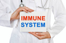 Keep Your Immune System Healthy